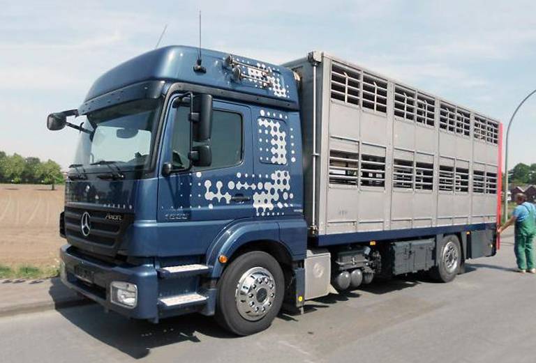Перевозка крупного рогатого скота недорого из Тамбовки в Шимановска